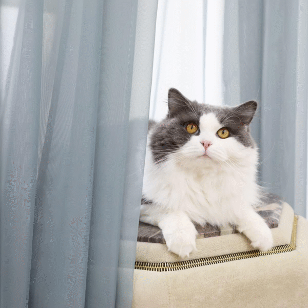 sheer curtains