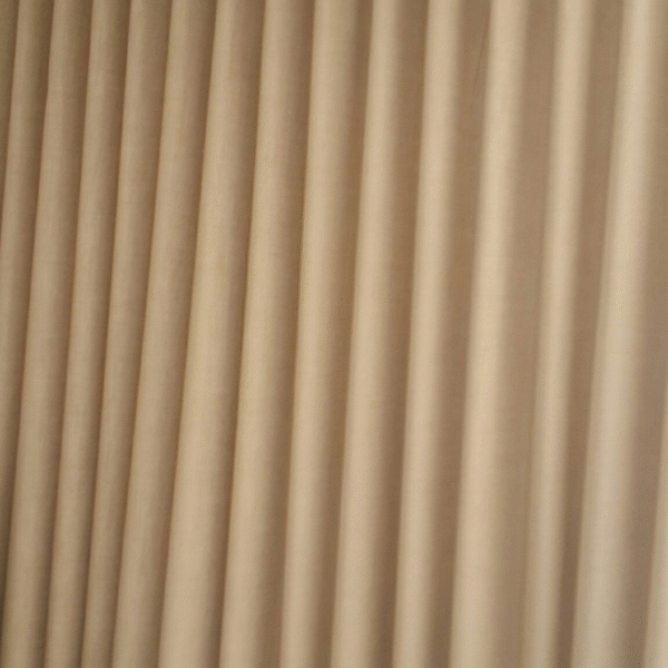 zebra blinds