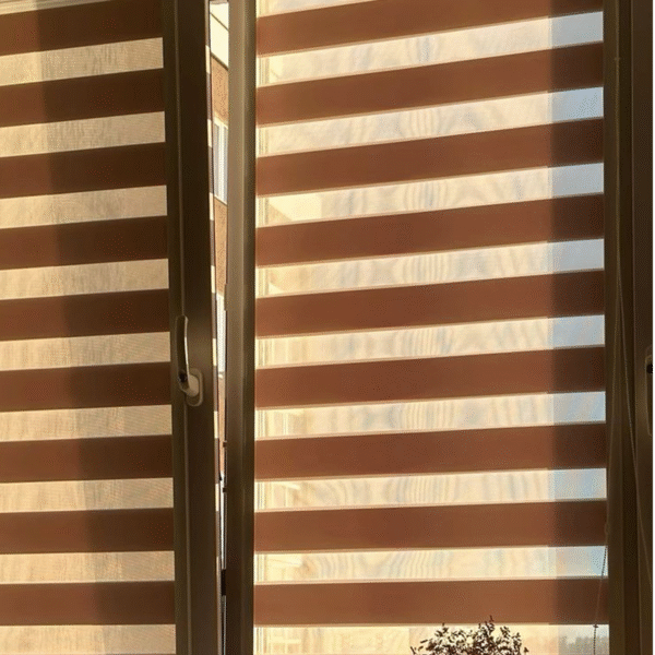 zebra blinds